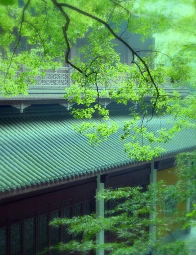 869年，陕州大旱，有人向官府告灾，崔荛却指着庭院中的树说