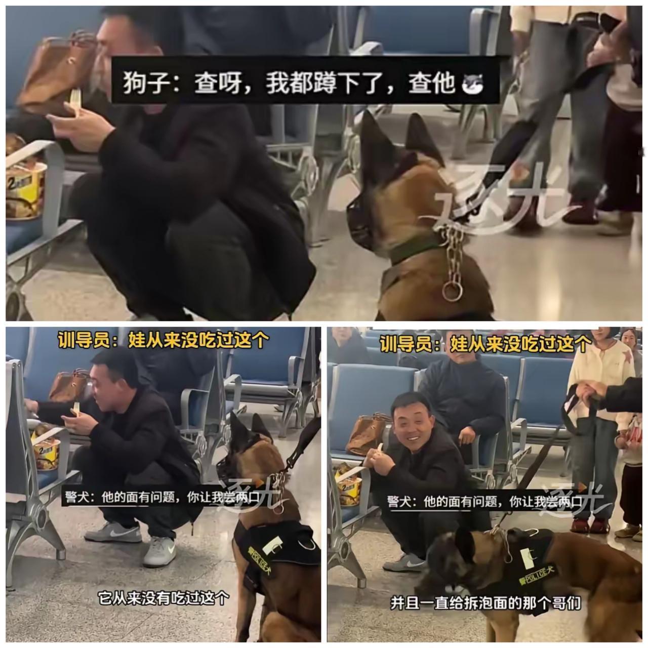 笑不活了！西安火车站这只警犬直接被一碗泡面勾走魂，吃货属性彻底藏不住了！