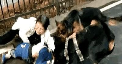 刷到个视频，心里咯噔一下。一条大狗，就那么直挺挺地站着，死死咬住一个人的胳膊。