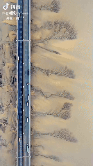 火上央视了！近日，钱塘江退潮后，造就了美轮美奂的潮汐树与嘉绍大桥这座“钢铁巨龙”