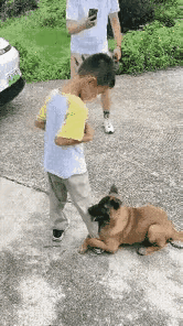 一家人外出旅游正逛得开心,小男孩瞥见路边有只流浪狗,缩成毛球似的直发抖,赶紧从包