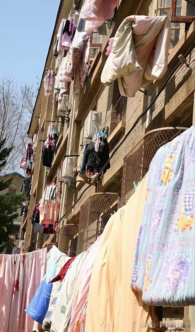 一个送外卖的朋友告诉我，他发现了一个奇怪的现象，那就是在很多普通的小区，一年四季