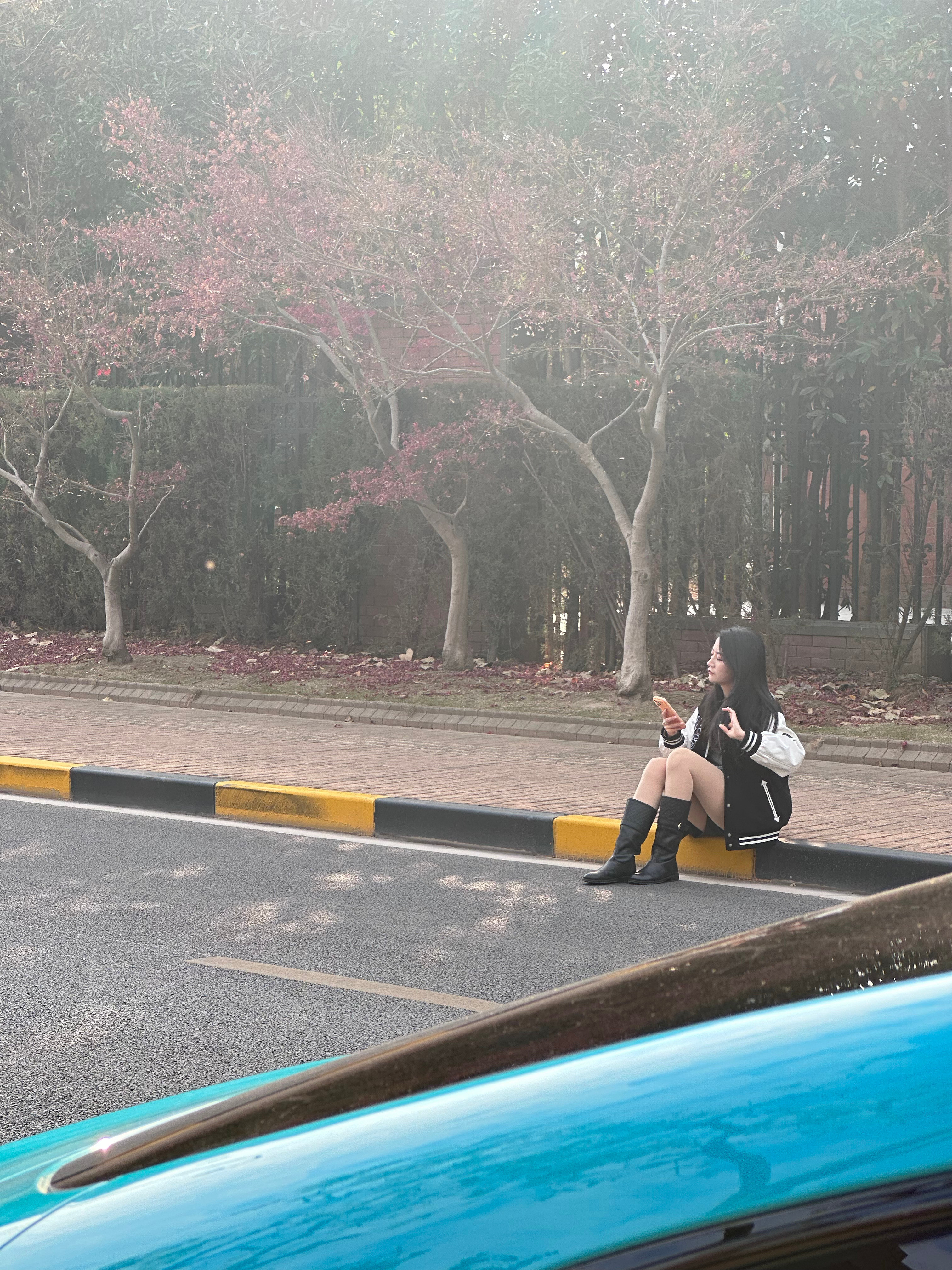 分享一组我偷拍的、正在一旁背词儿的朵教主呀好像被她发现了……