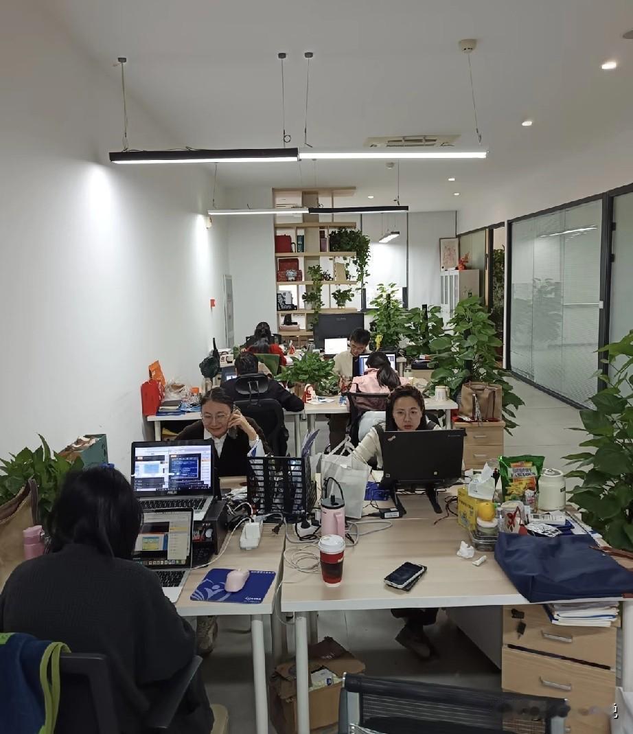 年终绩效不幸背C了，hr总监把我叫进她的办公室：你不用有别的想法，给你C不是你做