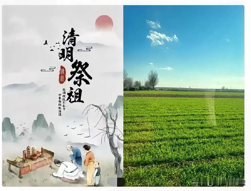 2026年3月30号殡葬新规一曝光，我直接一口烟没咽下去，这改革来得是真彻底啊！