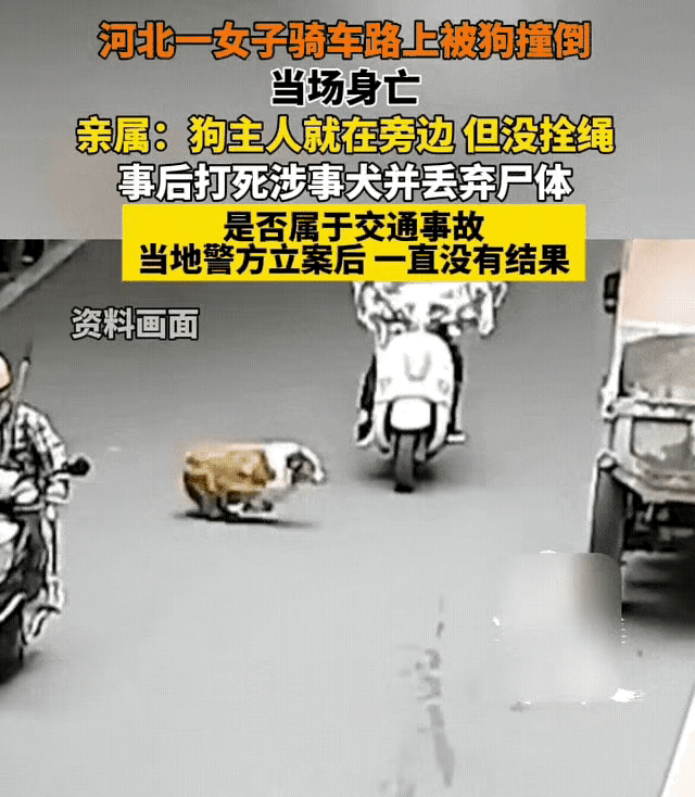 “彻底解释不清了！”河北邯郸，一名女子骑着车回家，被路边窜出来的一只大狗撞倒，女