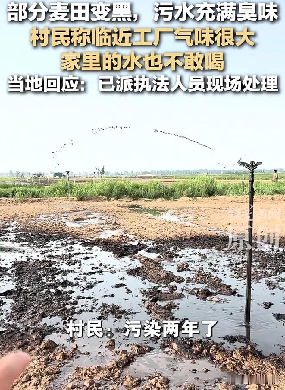 有网友搞不懂，畜禽粪污产生的沼液不应该更能使土地肥沃吗？不应该更加的对庄稼好吗？