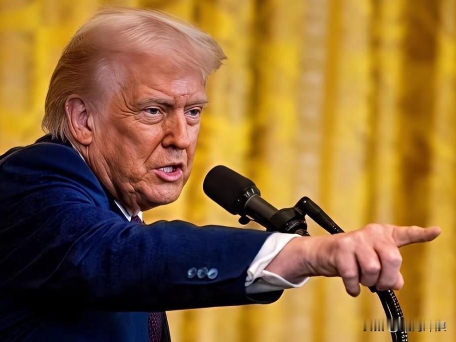 乌克兰总统泽连斯基态度突然大变！刚刚乌克兰总统泽连斯基表示他愿与俄罗斯总统