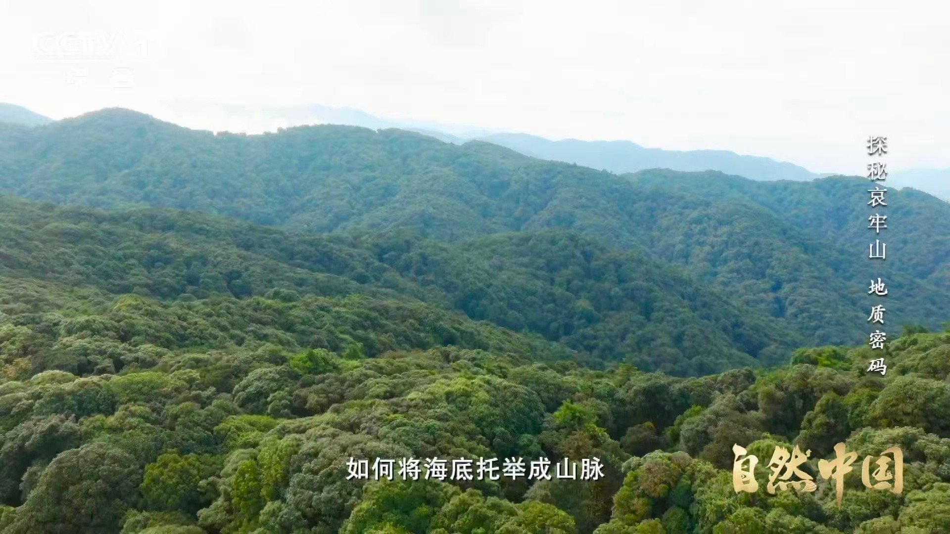 哀牢山顶惊现海底世界哀牢山顶竟藏3.75亿年前珊瑚化石在云端，遇见古海洋。科考