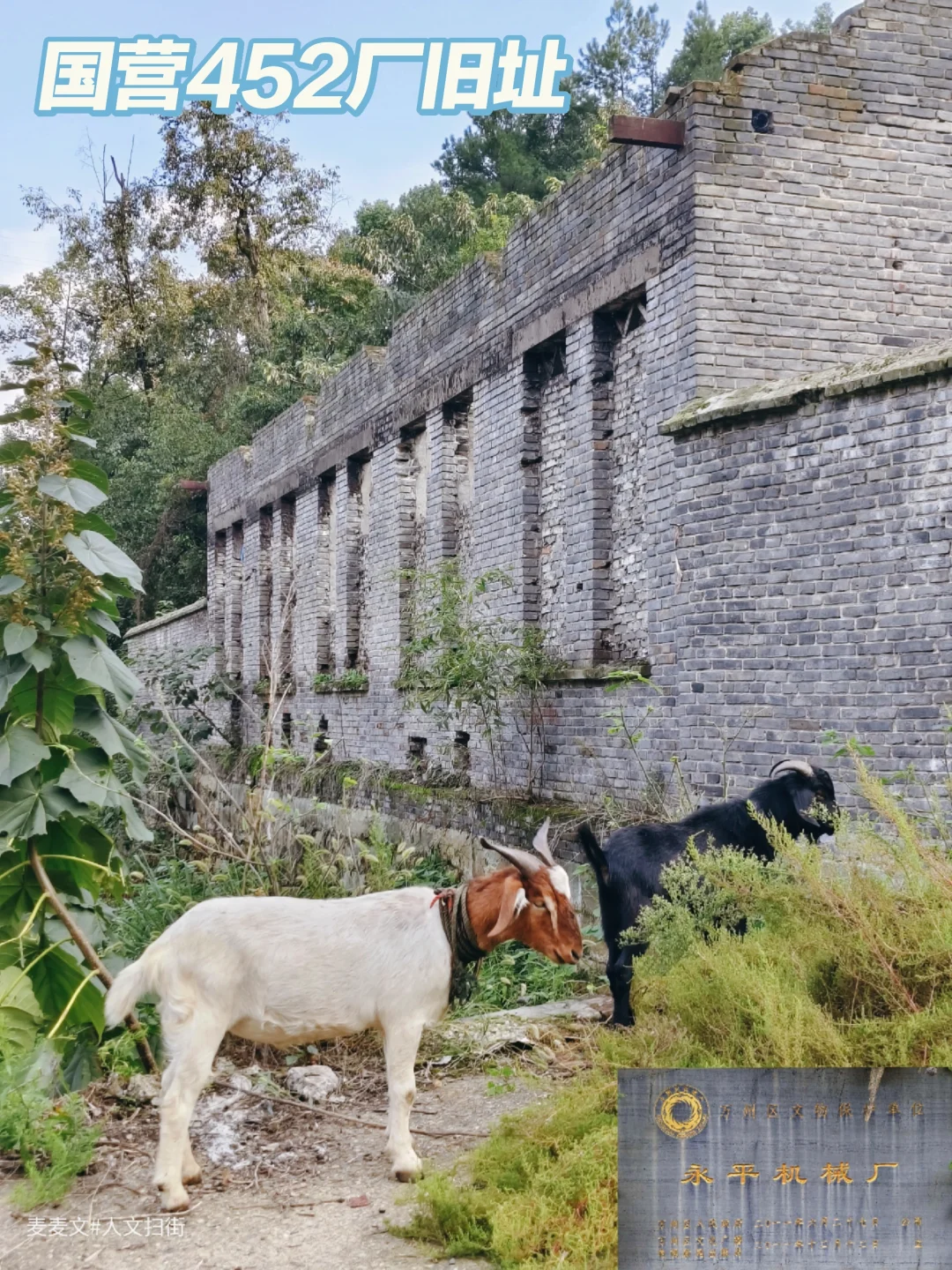 【万州】从保密厂到文保单位的永平机械厂