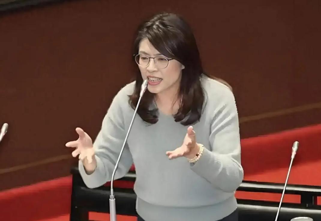 台湾蓝营终于和大陆观点一致了，不接受一国两制！台湾国民党主席郑丽文在接受专访时表