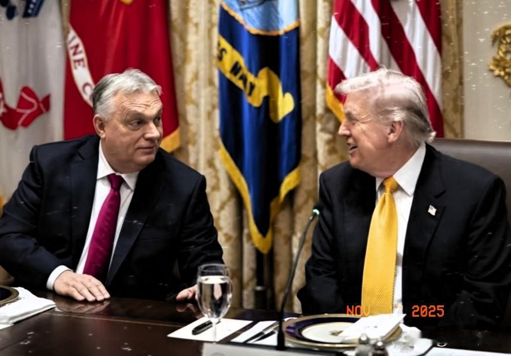 匈牙利总理的一番话让整个俄罗斯和普京都尴尬无比。匈牙利总理欧尔班在15号接受德媒