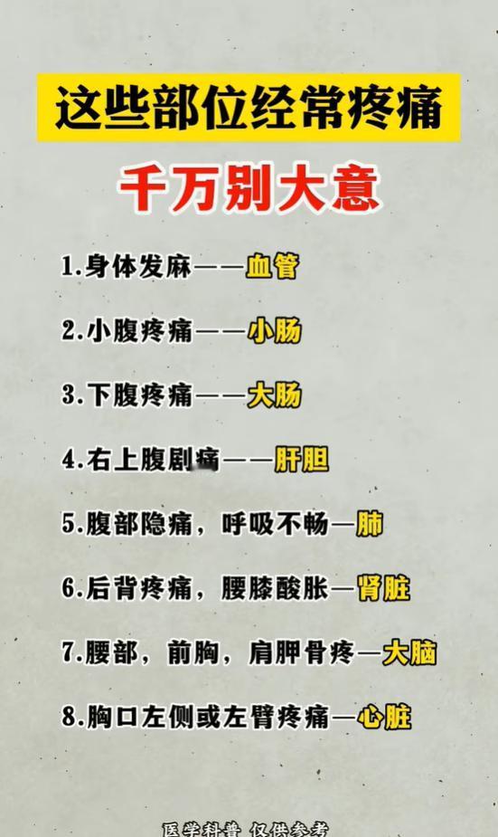 身体不同位置频繁疼痛，分别对应哪些脏腑问题？