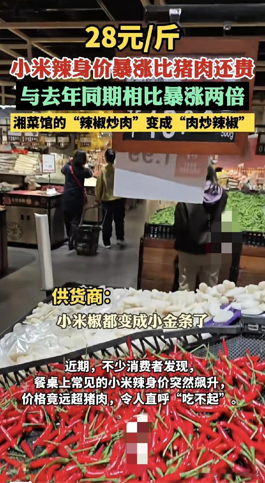 小米椒居然蹿到七十块一公斤了？半个月前炒菜随手撒一把爆香，香得能再添两碗饭，如今