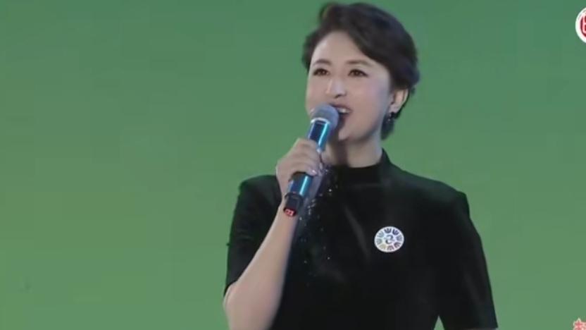 张蕾身穿黑旗袍主持，真不是一般人驾驭得了人们常说，旗袍挑身材、挑人，更何况是