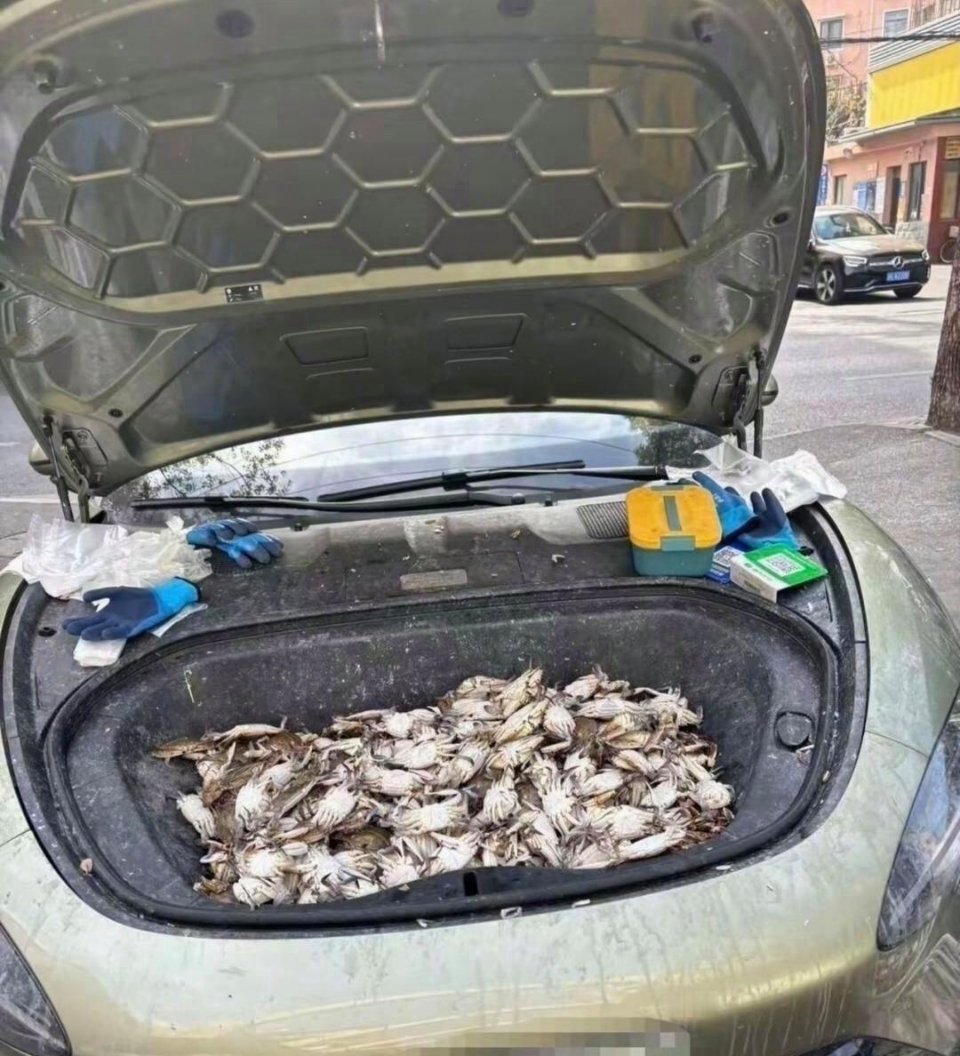 车主真是个狠人
