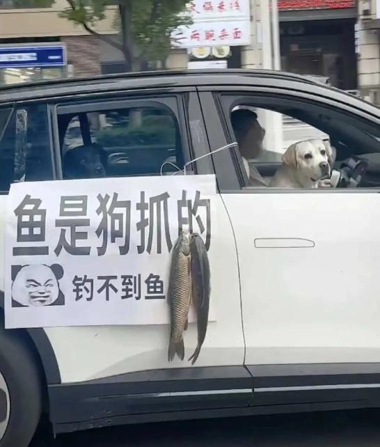 再加上一句:狗是我养的。