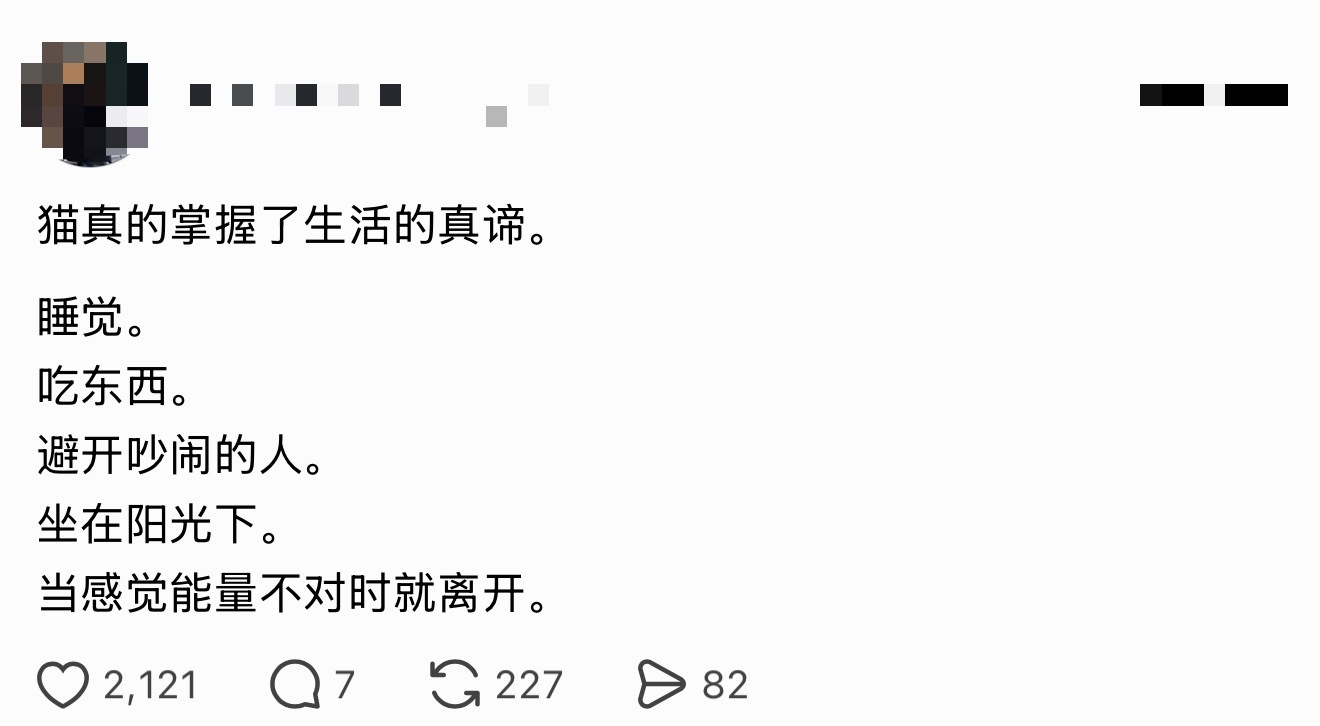 向猫猫学习