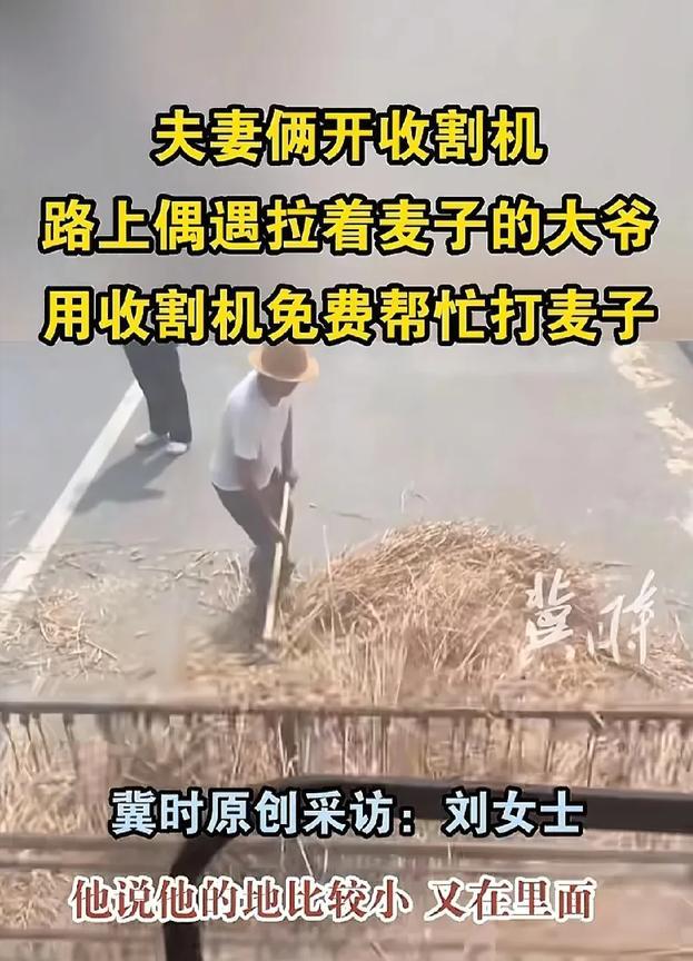 中国人骨子里的善良！5月23日河南，一对开收割机的夫妻，干完收割麦子在路边休息，