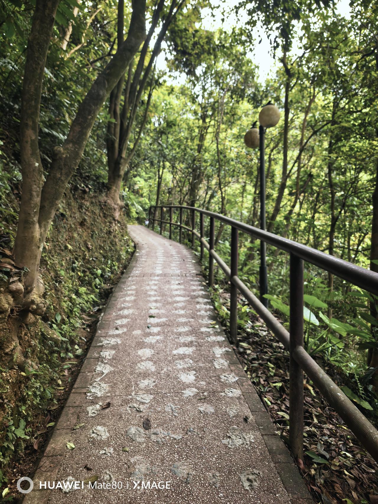 夫妻分房睡不好。对感情肯定有影响。我生女儿后，和他分房谁了，每天晚上我带着女儿睡