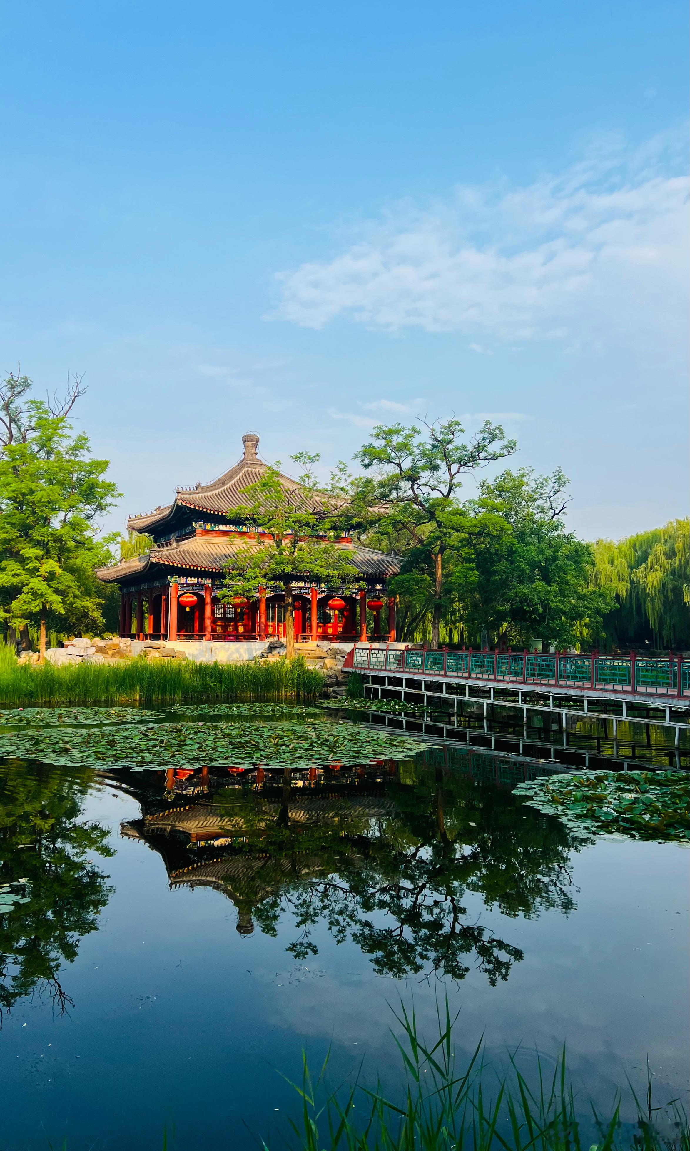 圆明园夏日美景摄影​​​