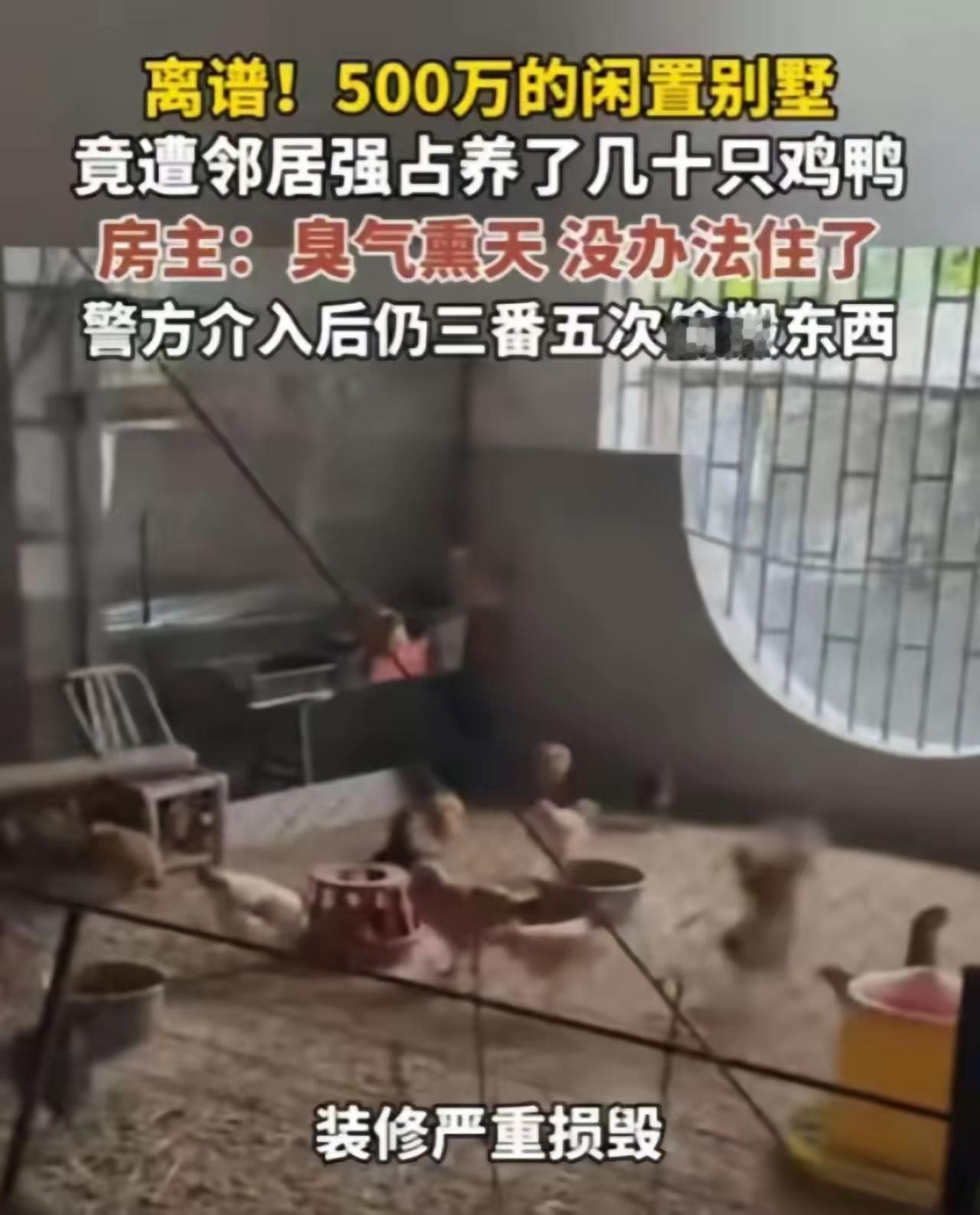 “脸都不要了！”福建大哥回老家祭祖，推开闲置别墅的门直接气炸，这操作谁看了不火大