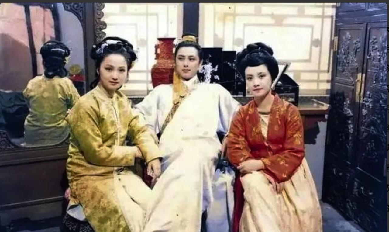 古代的通房丫鬟，是主子行房时的伺候工具。红烛摇曳的新房里，她捧着温水汗巾跪在