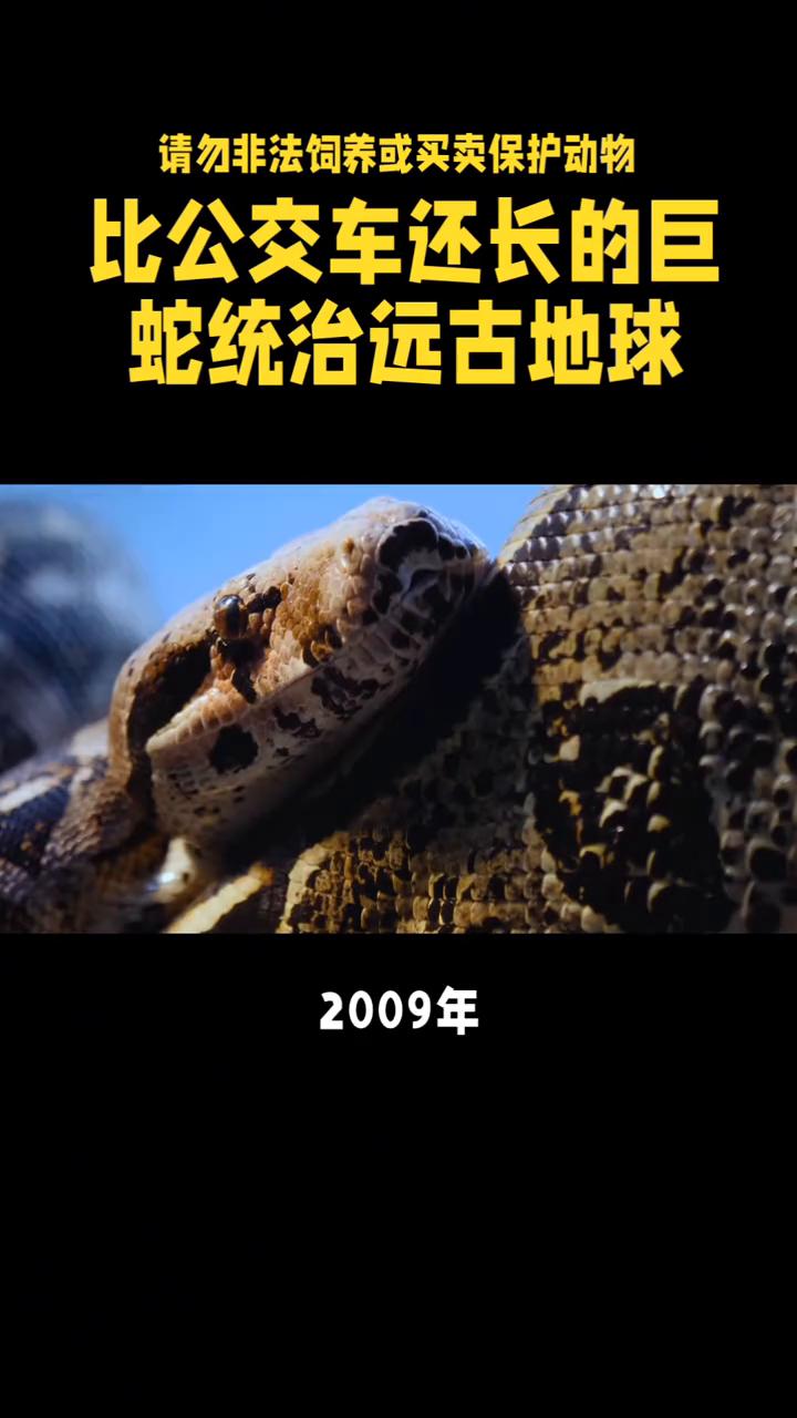 比公交车还长的巨蛇统治远古地球。比公交车还长的巨蛇凭什么统治远古地球？你以为恐