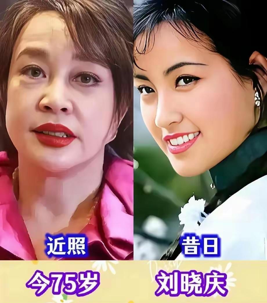 6位老一辈文艺工作者的新旧照片，道尽半生光景。年轻时她们容貌明艳，在舞台与荧幕绽