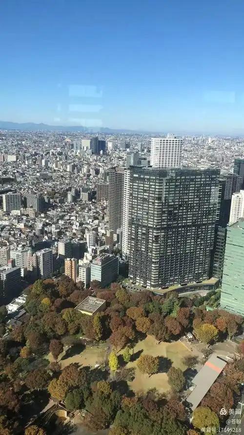 日本东京都政府突然宣布了。 熊猫是中日友好的特殊符号，自上世纪七十年代邦交正