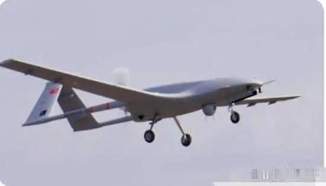 为什么中国不打印度？第一，东大打阿三，在62年就揍过一次。第二，17年时