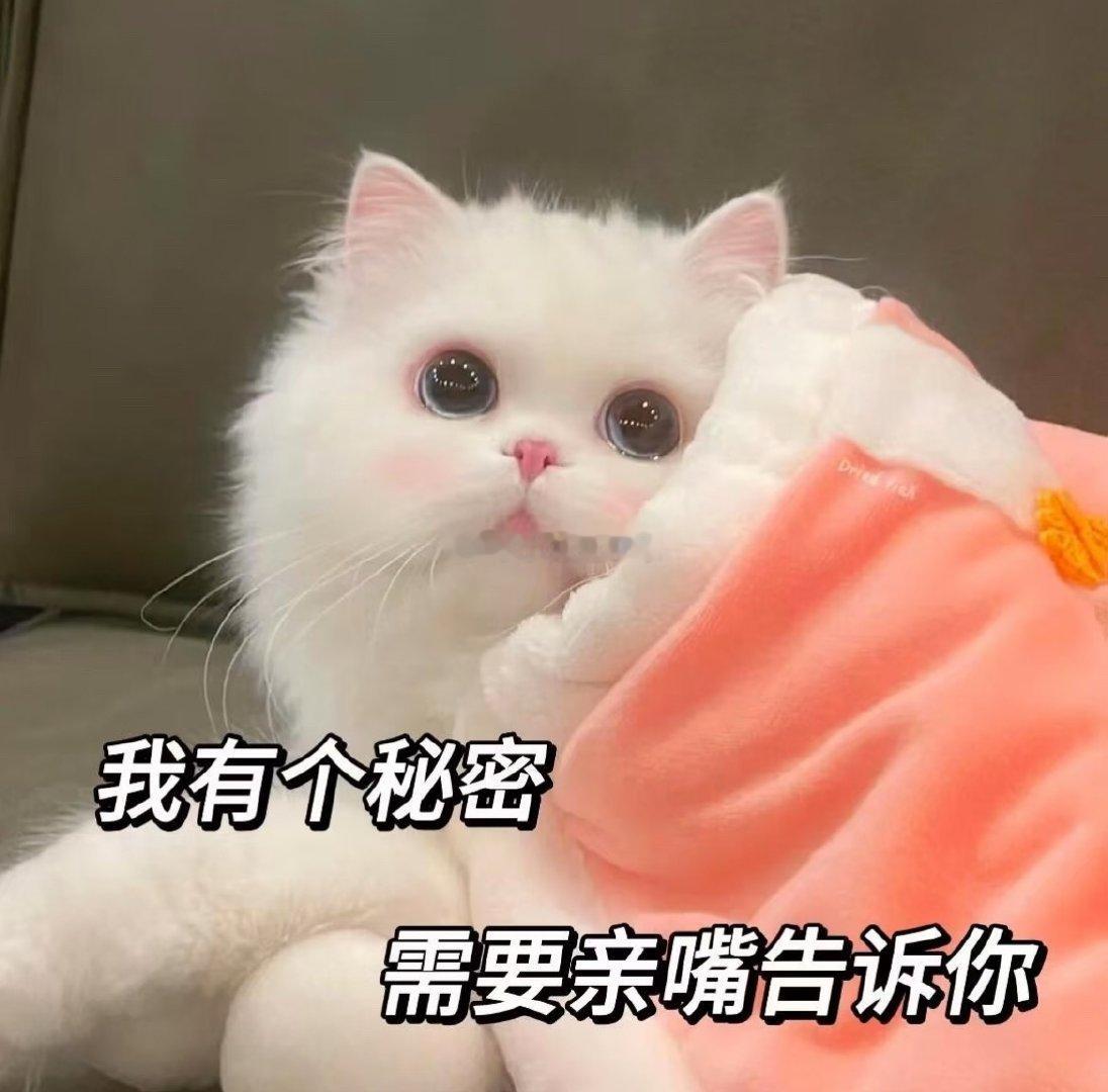 我和🐺真的好好玩啊哈哈哈哈🐺在厕所里面我就在床上一直嗷呜嗷呜的叫，🐺不理解