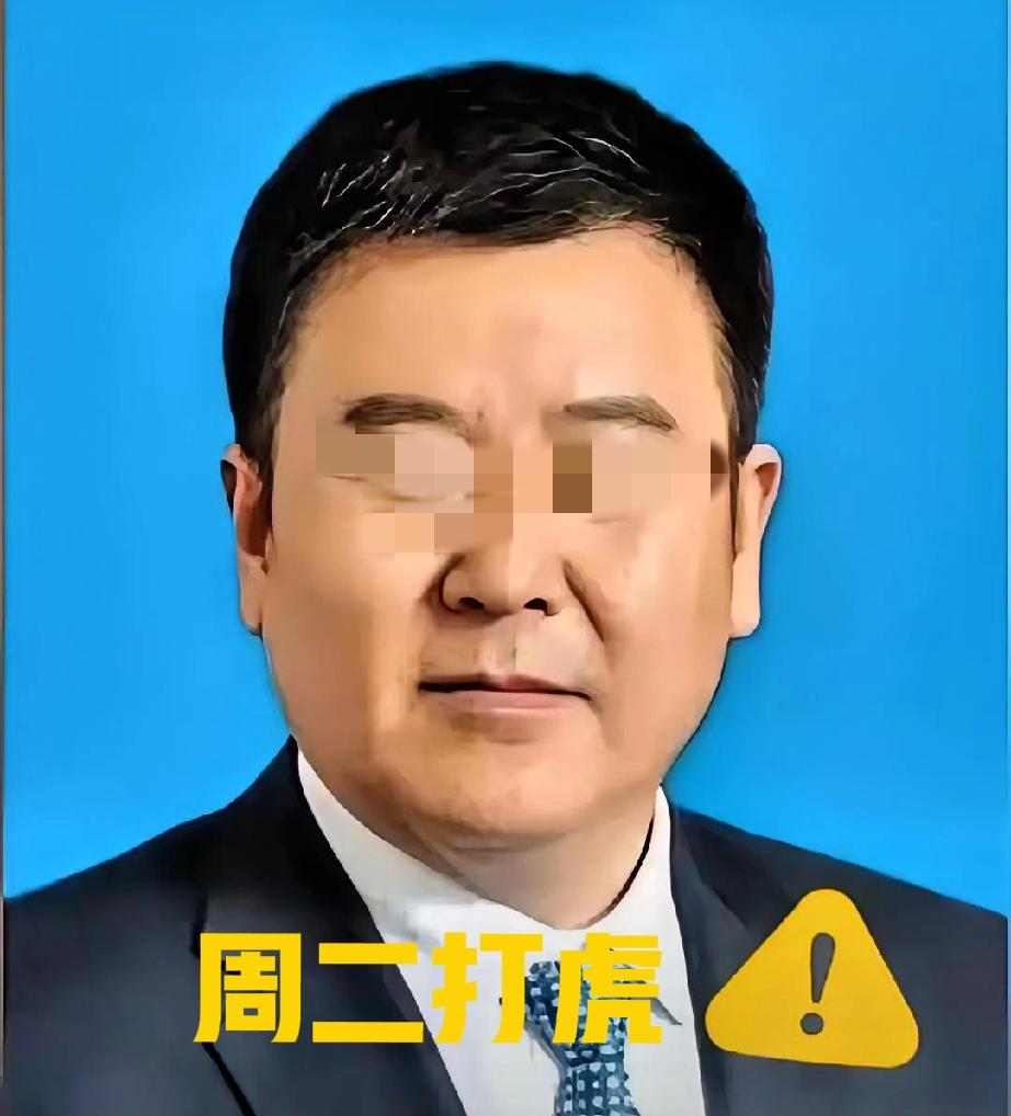 甘肃景泰那个57岁的“芮文刚”被查了。看资料，人家22岁就端上了铁饭碗。在体