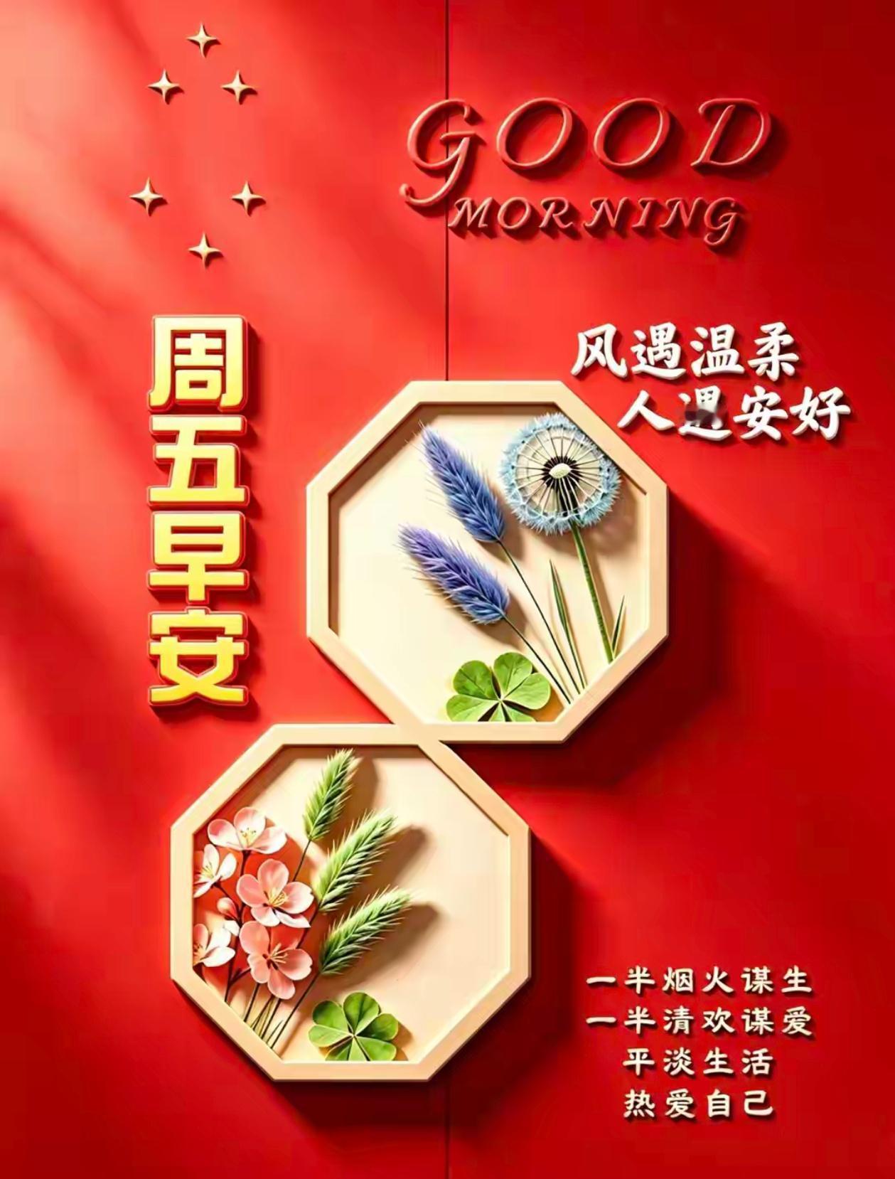 2026./8月21日，浅秋放宽寸心，释怀方得安然[太