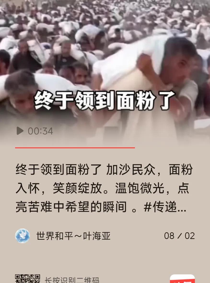 加沙需要的是“面粉”，而不是哈马斯。谁控制加沙并不重要，谁能提供面粉才是重要的。
