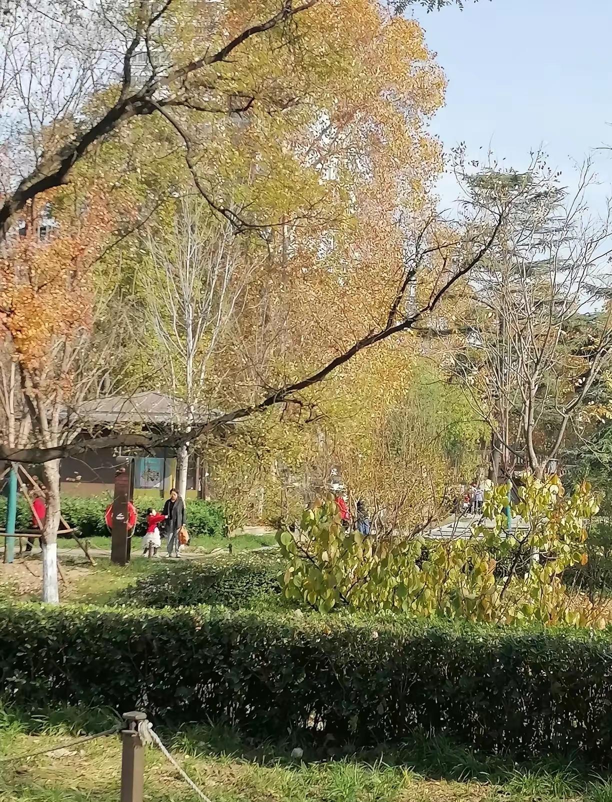 国考现场，监考老师都看得捏把汗。一个考场30个人，要知道30个人里可能只有10个