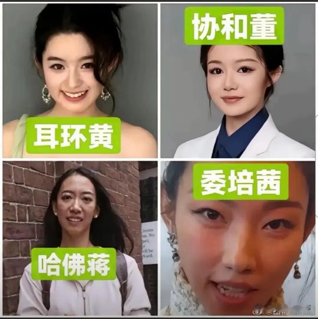 最近被爆出的四个天龙人，你们有没有发现她们的名字都带草，是世界就是个巨大的草台班