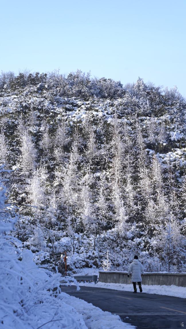 巴山大峡谷冬日狂欢模式已上线雪落巴山美出圈，罗盘顶云海壮阔，雾凇冰挂缀满枝头，