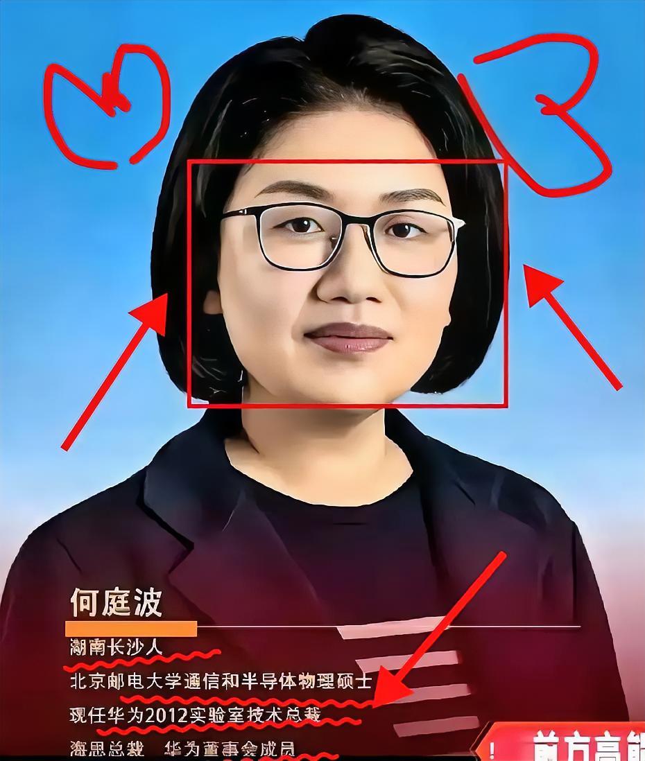 29年隐于幕后，中国芯片最该被看见的实干者刚才翻了翻何庭波的履历，真的让人