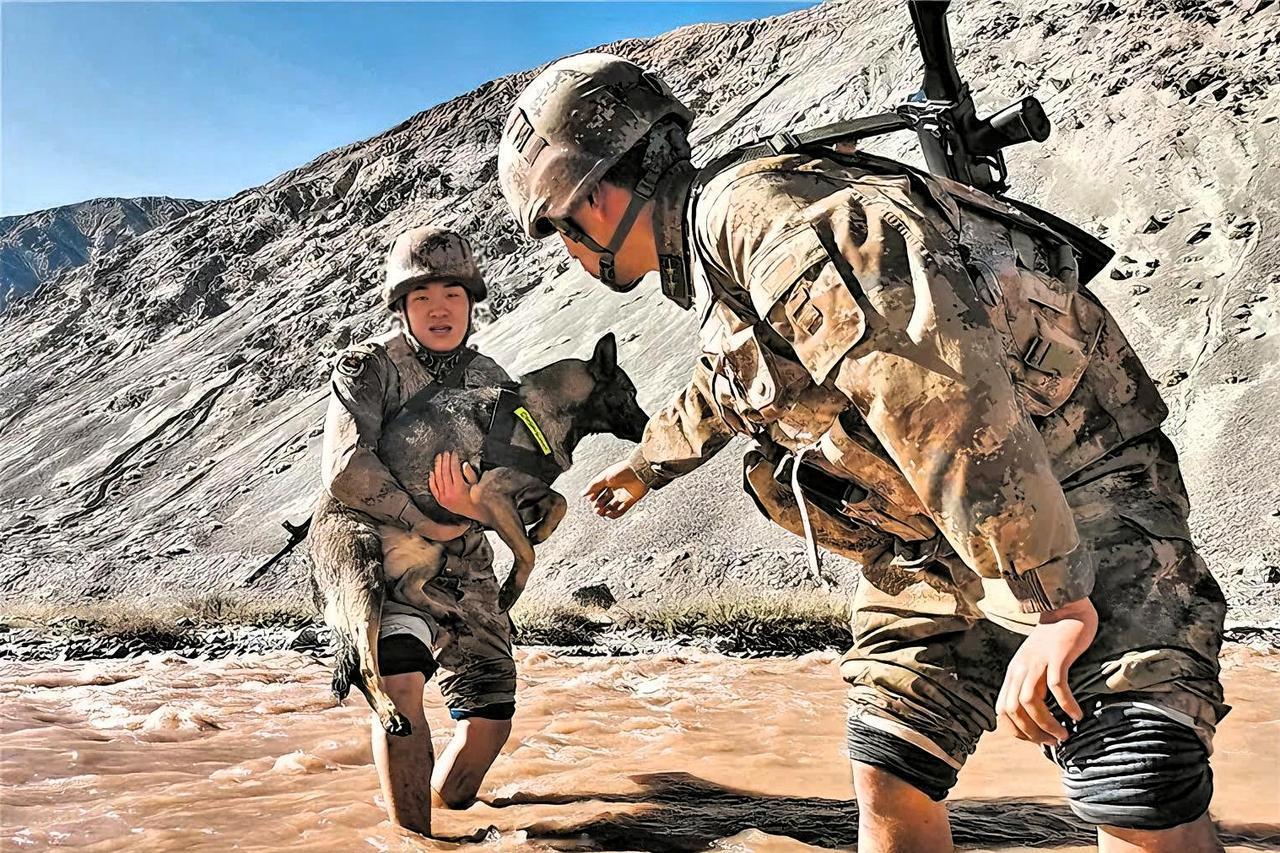 -自然环境的“生死考验”：巡逻路线多为高海拔冰川、戈壁沙漠、原始森林或零下几十