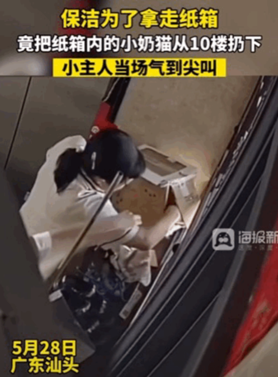 活该当一辈子保洁！广东汕头一保洁打扫卫生发现一纸箱，里面是业主养的流浪小猫，没想