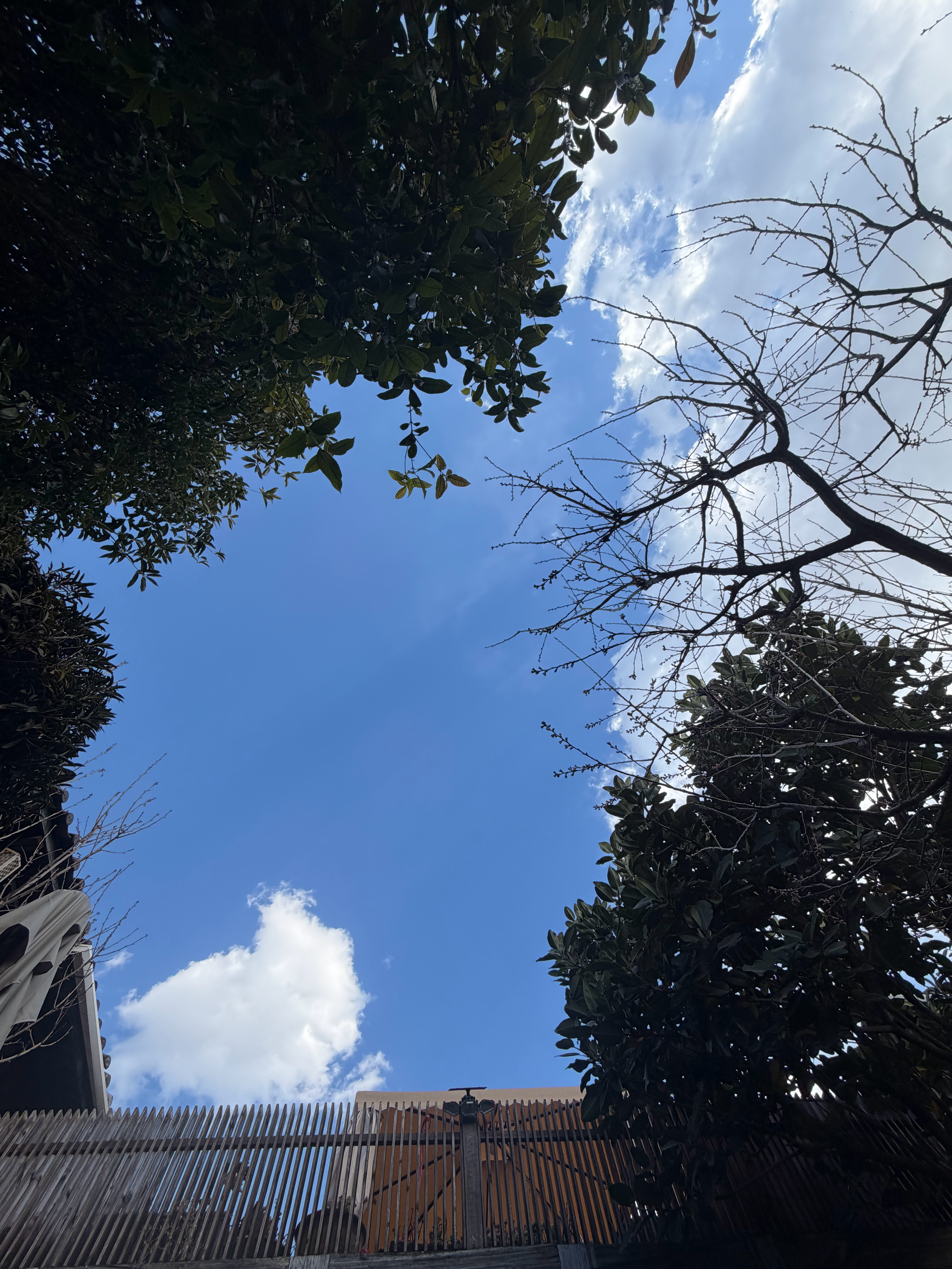 怀有敬畏之心的人谨言慎行，不是因为他懂得了怎样去善待世界，而是懂了怎样才是真正的