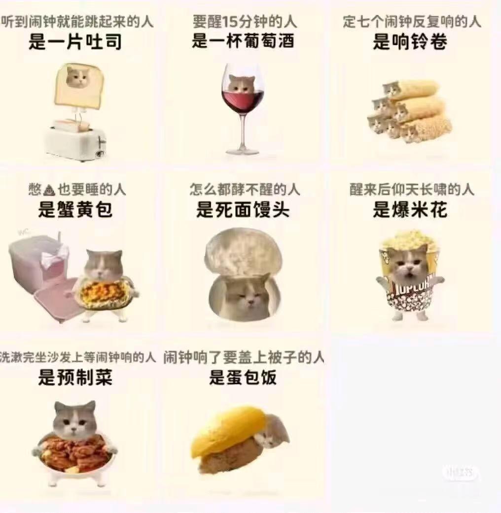 你是哪种​​​