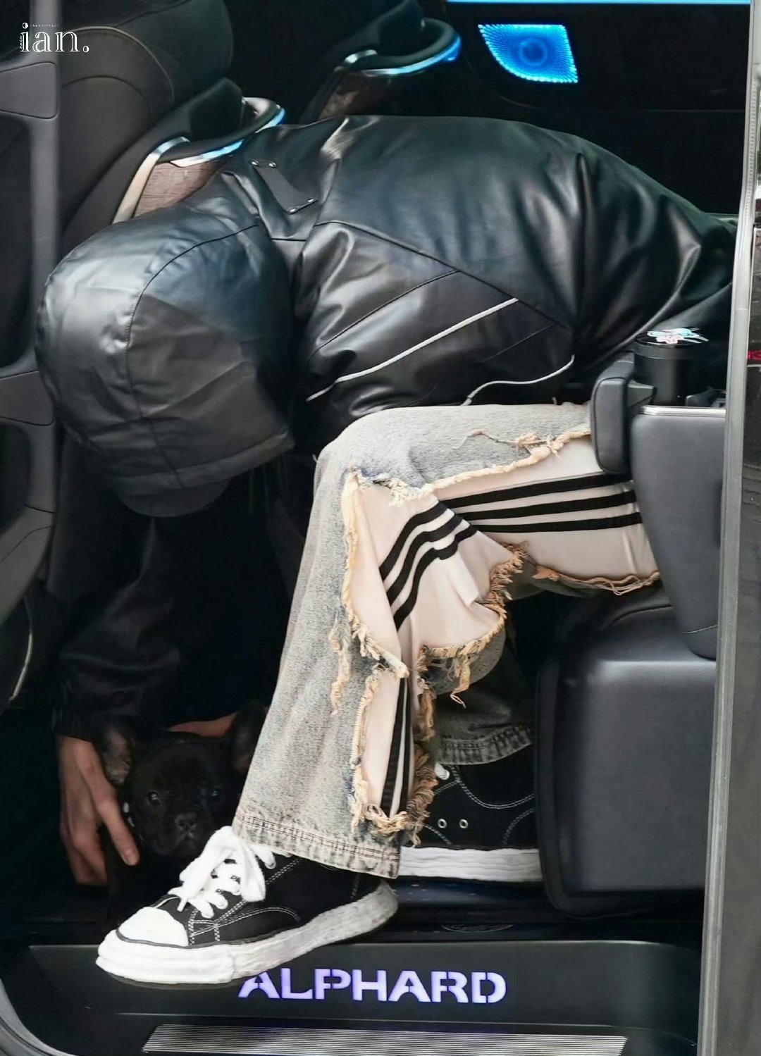 何与养狗了曝虞书欣何与确定二搭确认了！何与养狗了，黑啤就是这只黑色小法斗，颜值好