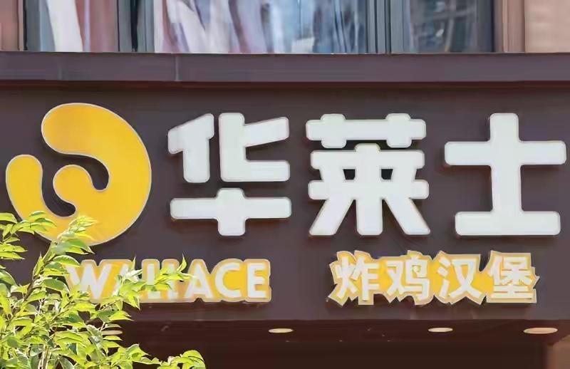 路过华莱士，看见招牌突然就馋了，就进去点了个套餐，两个汉堡一份鸡块一杯可乐，十九