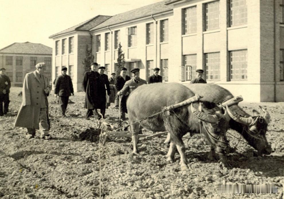 1958年1月初，毛泽东主席在杭州主持召开中央工作会议。1月5日下午，在浙江省委