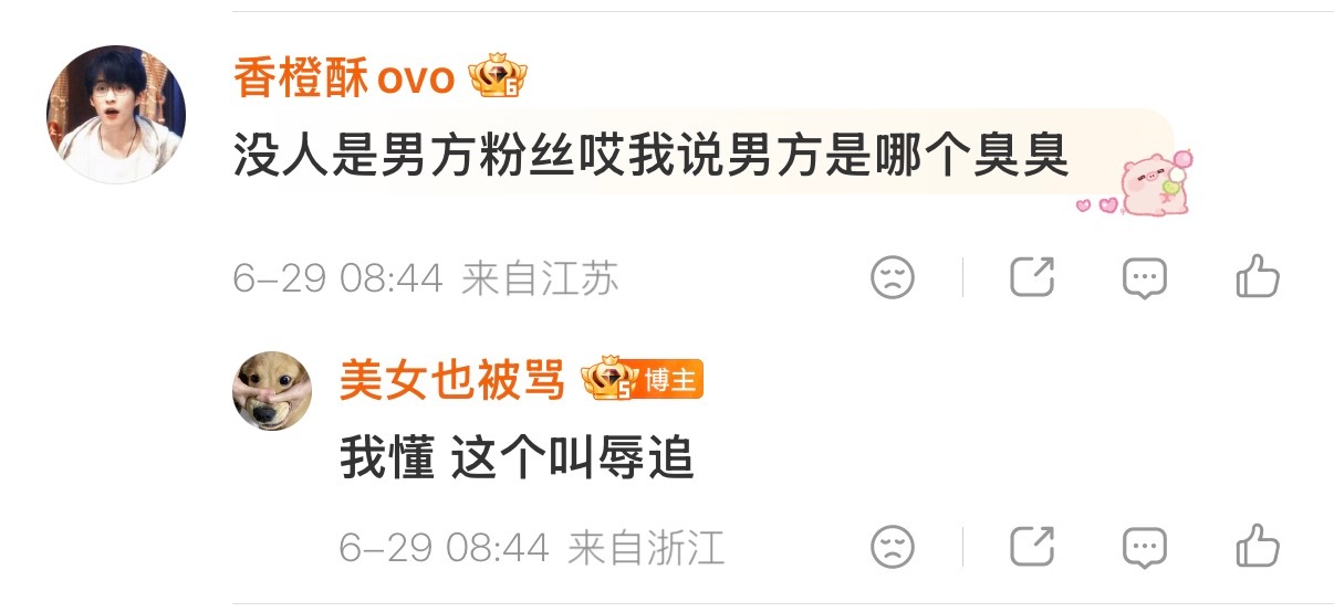 ：我懂这个叫辱追