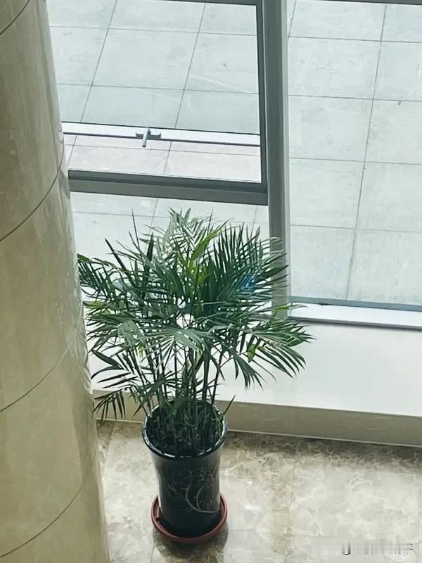 人活着，只需做好两件事：外养此身安康，内守灵魂清净身安，则气顺；心净，则神