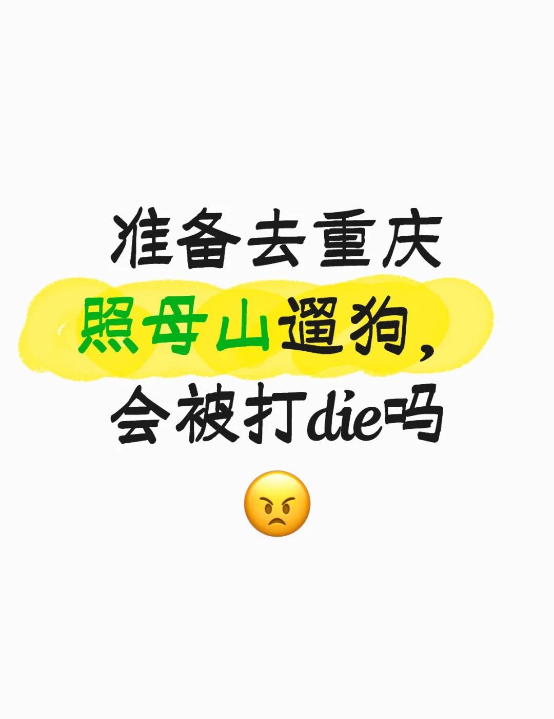 本人女,也养狗。我请问呢?如果是一个一八几的大高个,壮汉,会被那么打吗?我请问