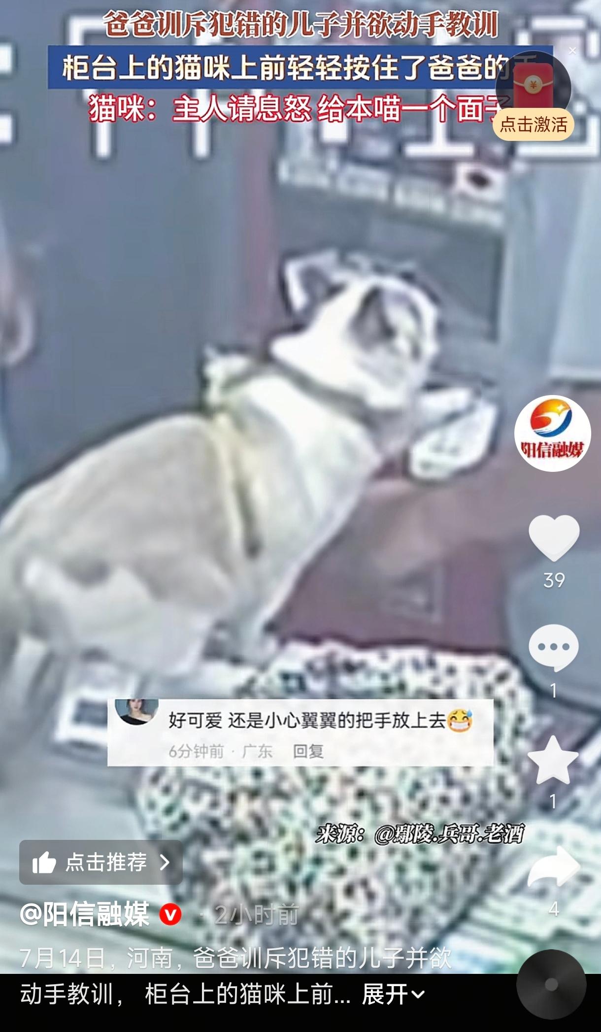 河南许昌，一小男孩犯了错，把牛奶扔在地上，爸爸气得火冒三丈，站在孩子面前厉声训斥